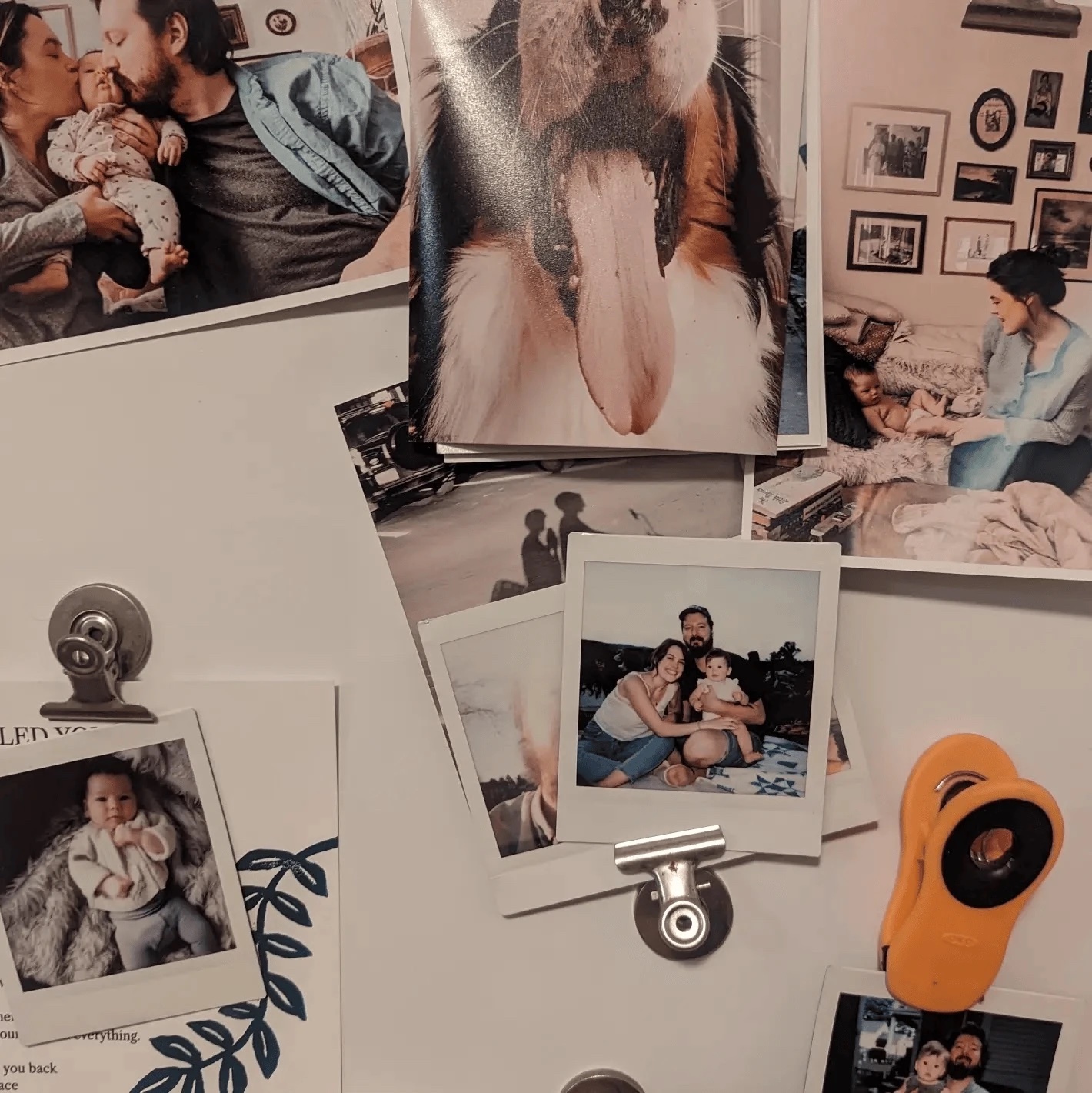 Family photos and Polaroids clipped to the fridge: Tanner, Katie, Frankie and Hugo