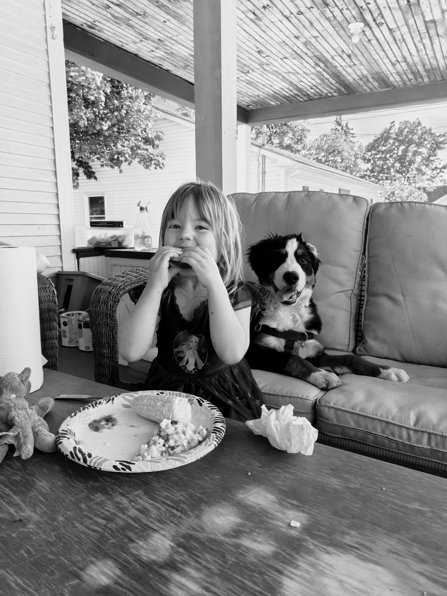 Frankie eating a snack on the couch beside Hugo as a puppy, in black and white