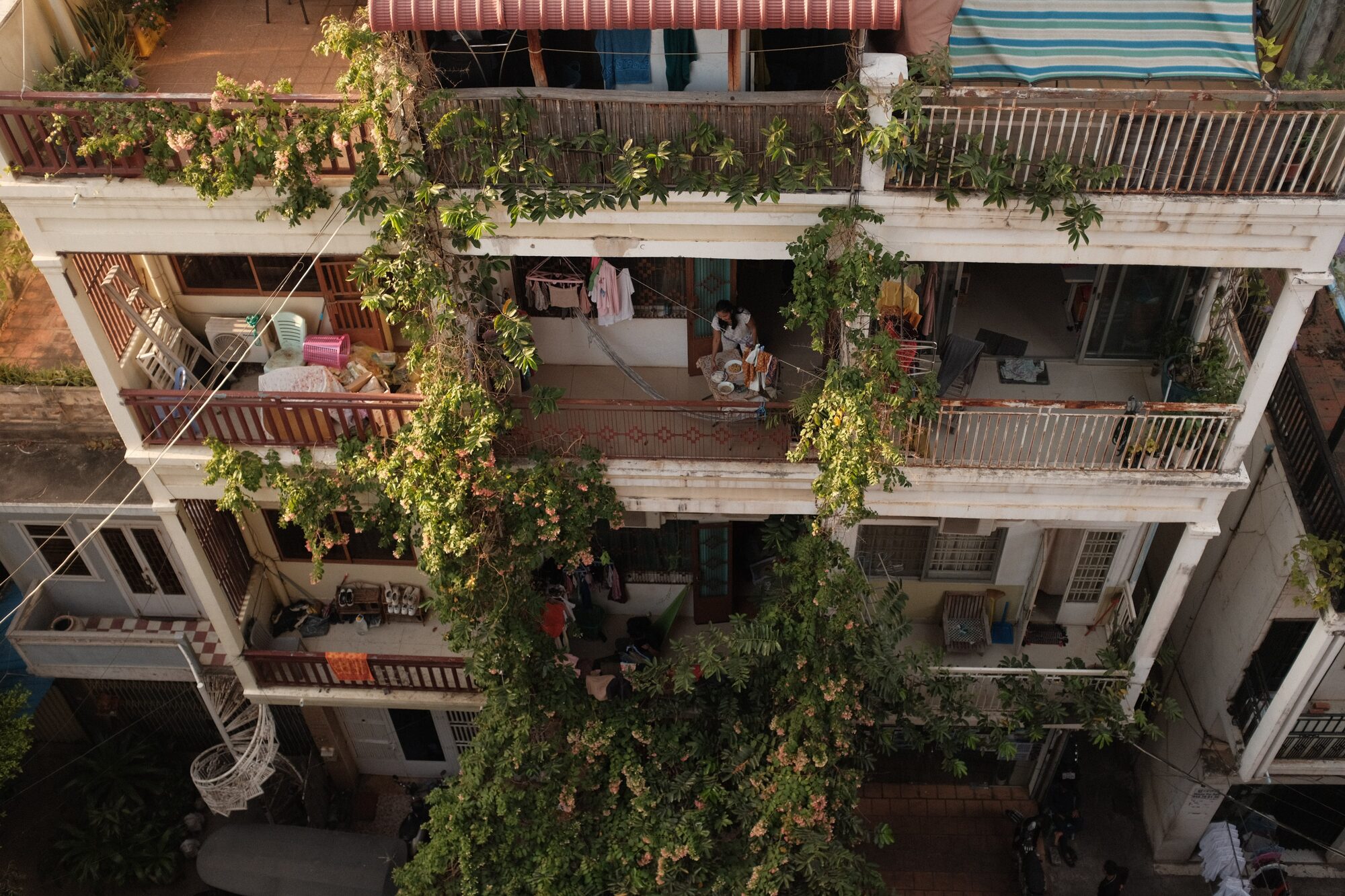 Balconies draped in green vines on an apartment block in Phnom Penh